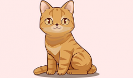 卡通漫画猫,卡通猫的奇幻冒险之旅