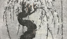 北斋漫画迅雷下载,迅雷下载，领略日本浮世绘艺术魅力